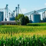 Industria Agroindustrial